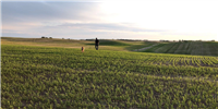 Picture of a field