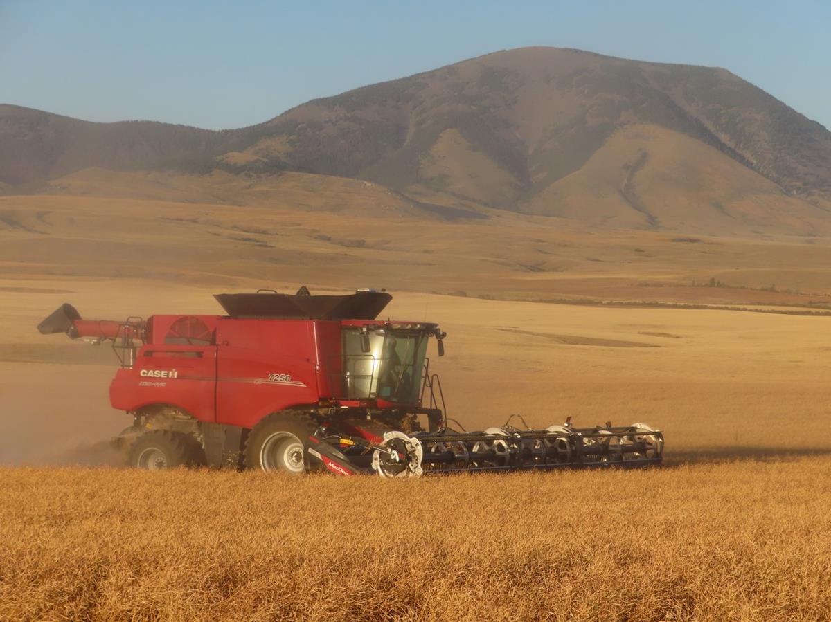 Pulse Crop & Canola Workshop