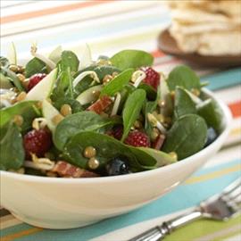 0appleberrylentilsalad.jpg - image